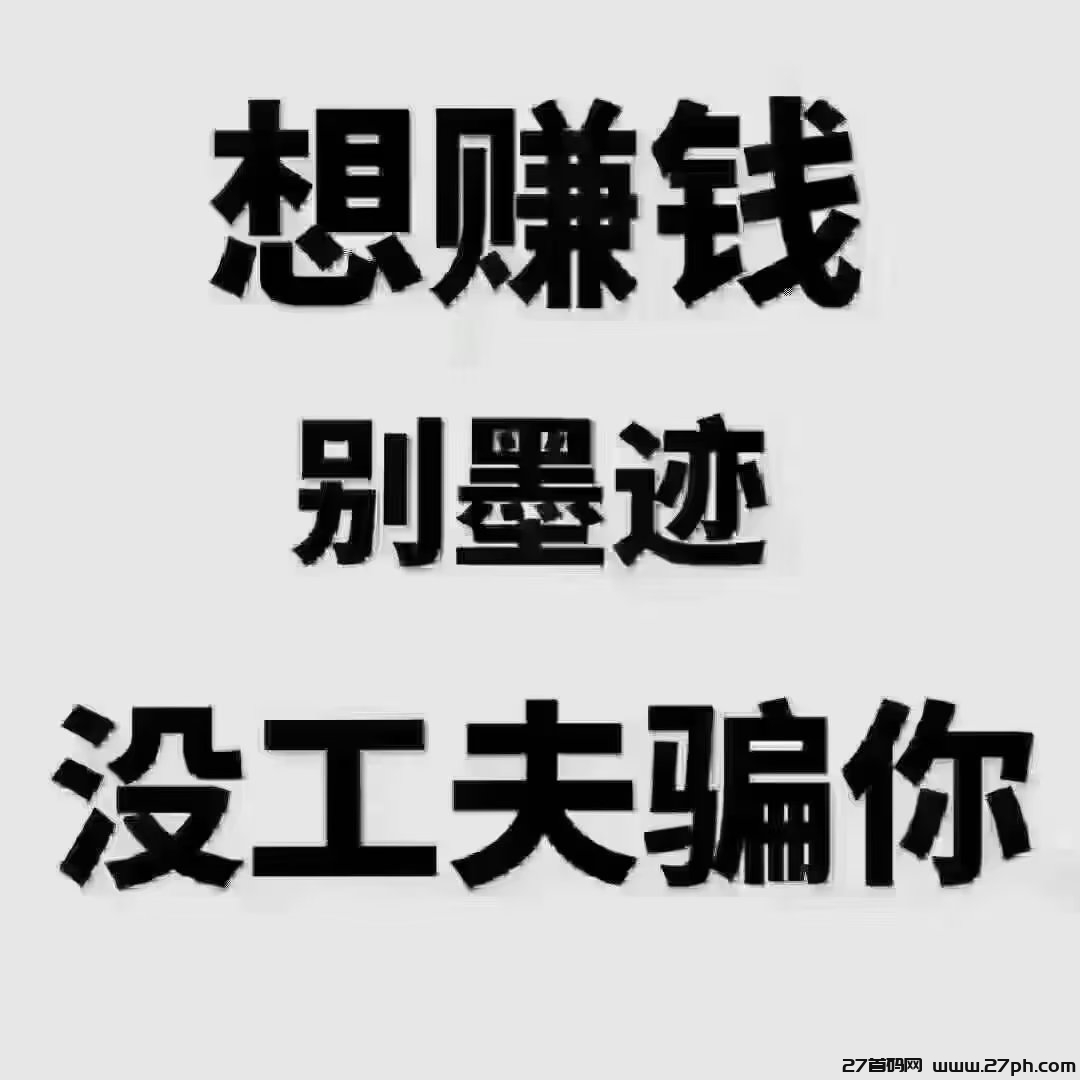 2023年最后一个实力盘，淘金城镇火爆，一天保底10米-27首码项目网