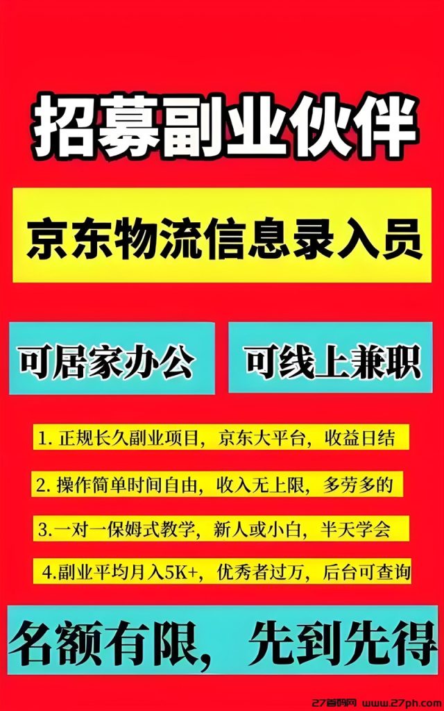 有手机会打字就能搞钱，录入信息，每天保底300+-27首码项目网