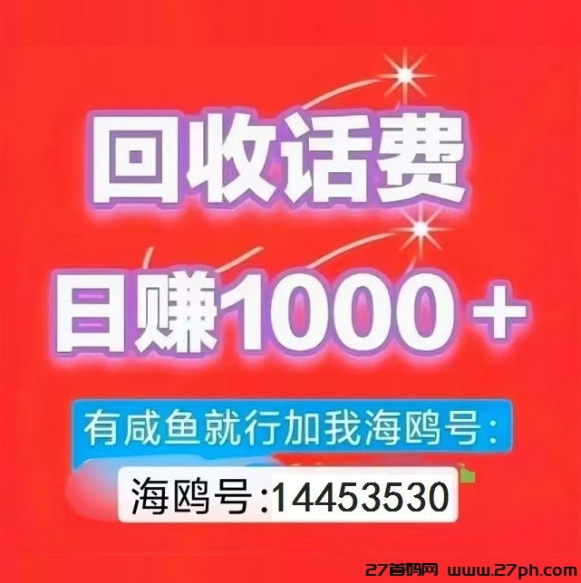 首码，《卡盟助手》 绿色搬砖项目，日撸 1000 +， 简单粗暴！-27首码项目网